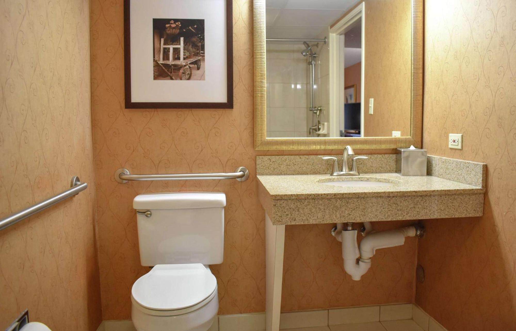 Premium King Room - Non-Smoking,1551310693:JPEG