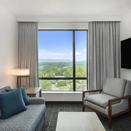 Embassy Suites By Hilton Asheville Downtown-2
